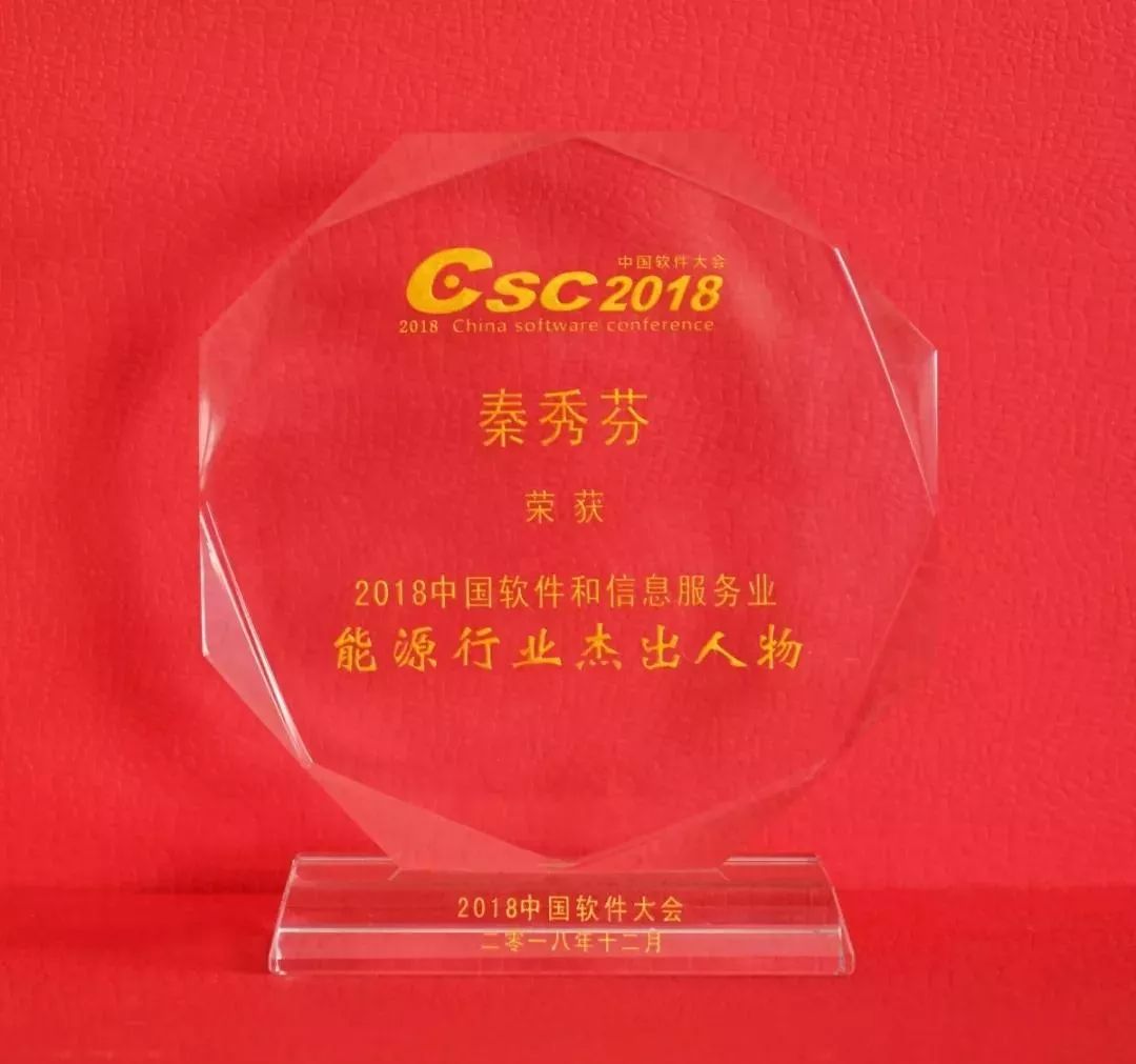 遠(yuǎn)光軟件秦秀芬獲評(píng)“2018軟件信息·能源行業(yè)