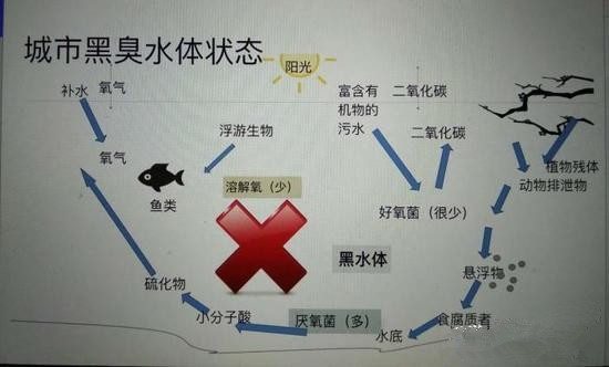 江蘇億元投資治污新技術(shù) 石墨烯能否治理黑臭水體？