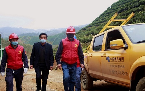 平塘供電局：“加減法”同構(gòu)服務(wù)，護(hù)航“貴州春茶第一壺”