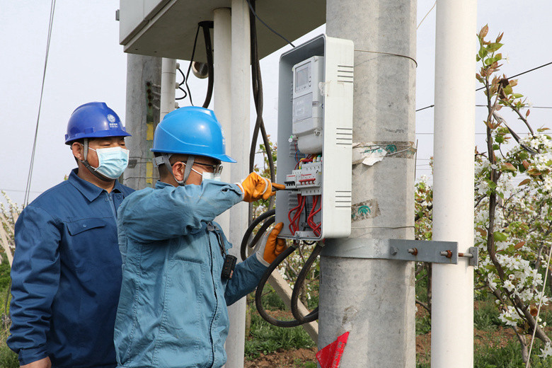 國網諸城市供電公司電力足，千畝梨園花正濃