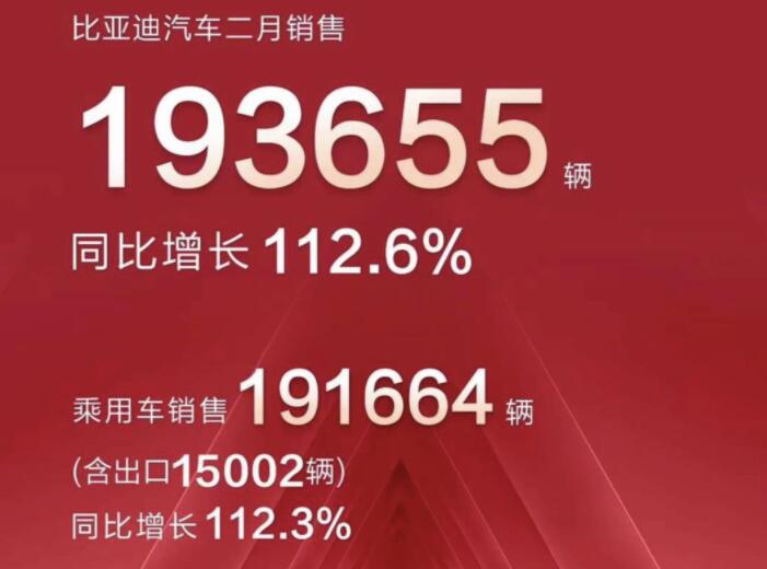 2月新能源車企成績單出爐，比亞迪一騎絕塵