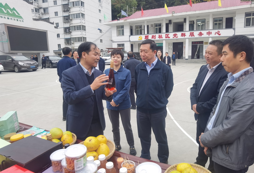 中核集團(tuán)總經(jīng)理、黨組副書記顧軍赴陜西白河、旬陽(yáng)調(diào)研鄉(xiāng)村振興工作