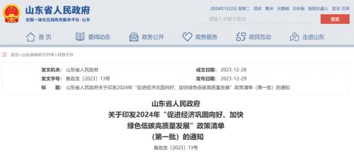 山東: 海上光伏2025年底前并網,免于配儲、有初投資補貼!