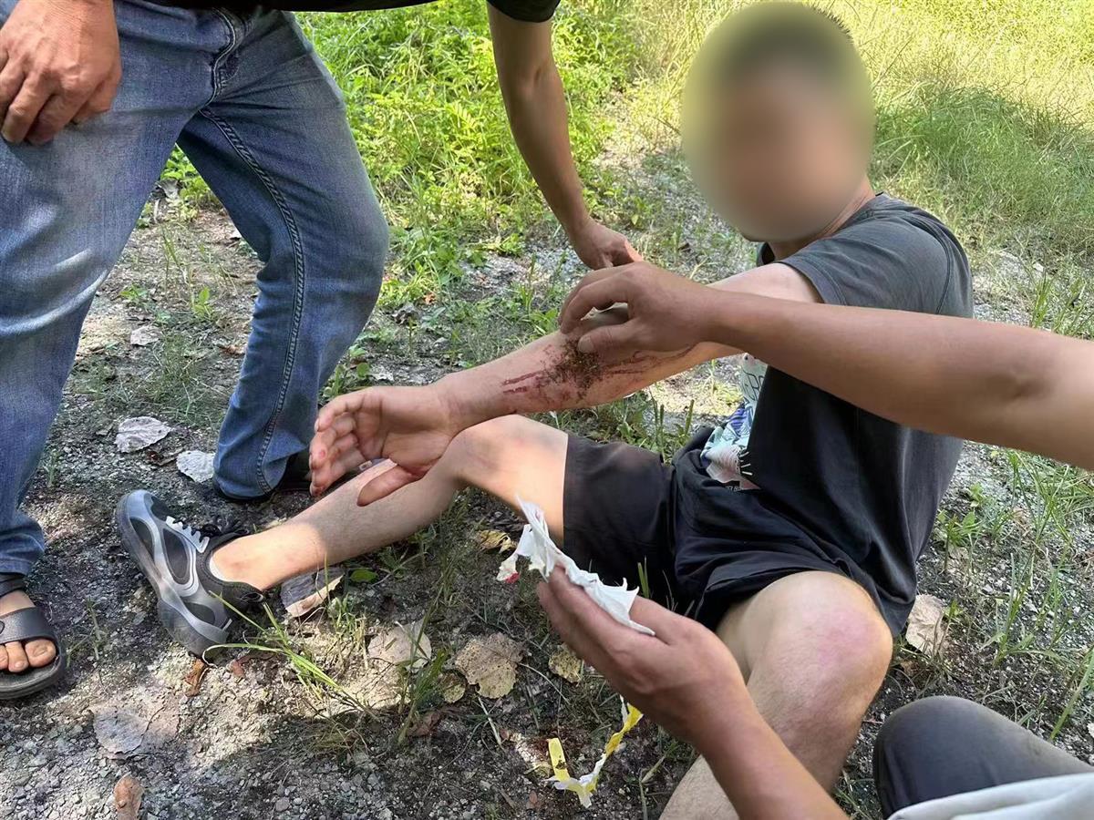 男子私設(shè)電網(wǎng)30余米，沒捕獲獵物卻電傷路人被刑拘