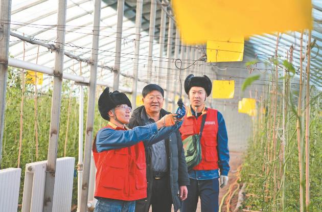 蔬菜大棚精準溫控 網(wǎng)格服務(wù)全面覆蓋
