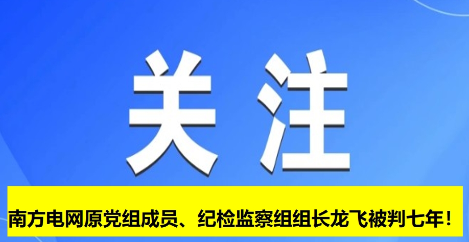 南方電網(wǎng)原黨組成員、紀(jì)檢監(jiān)察組組長龍飛被判